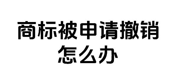 商标被撤销三年不使用